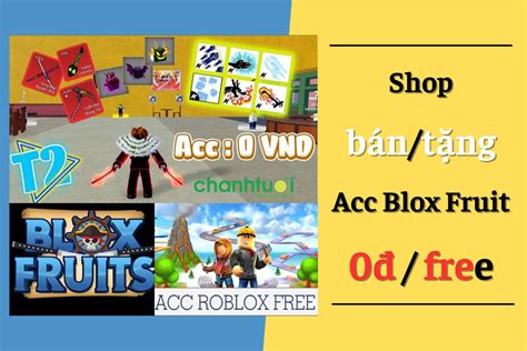 tặng acc roblox blox fruit